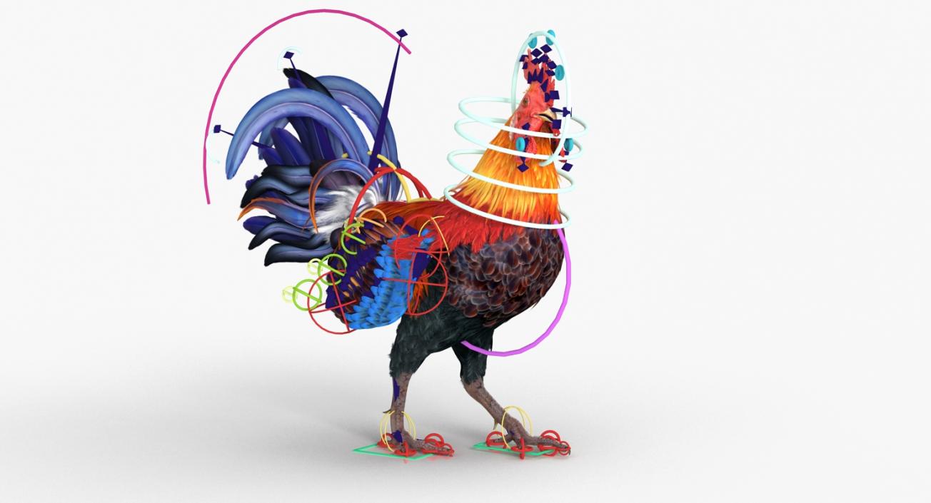 Rooster Rigged 3D model