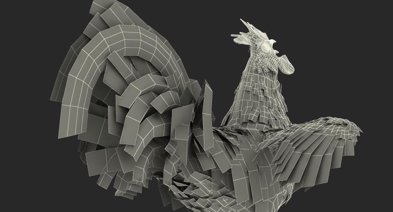 Rooster Rigged 3D model