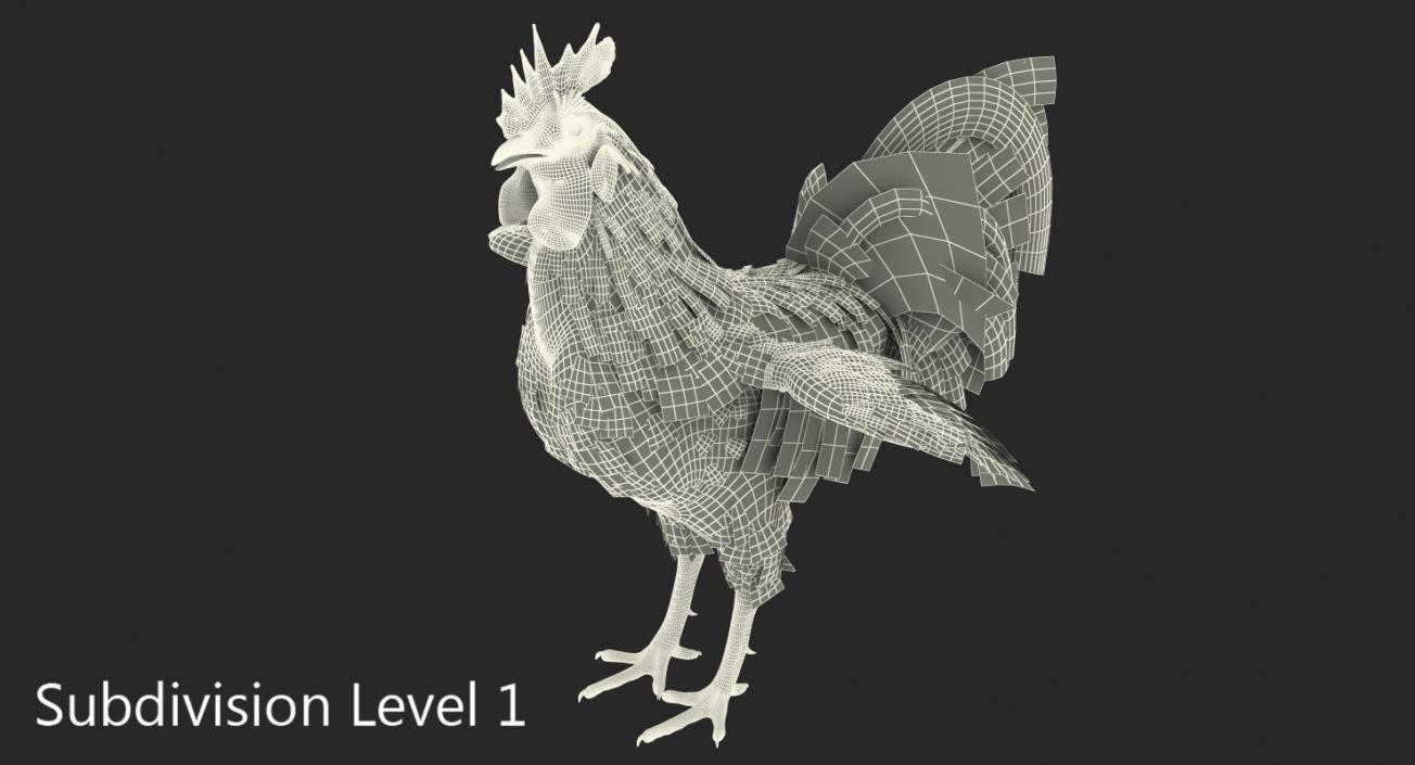 Rooster Rigged 3D model