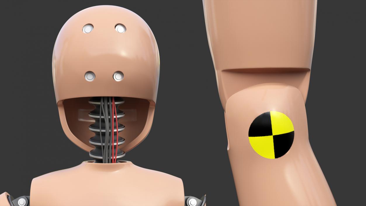 Child Crash Test Dummy Rigged 3D model