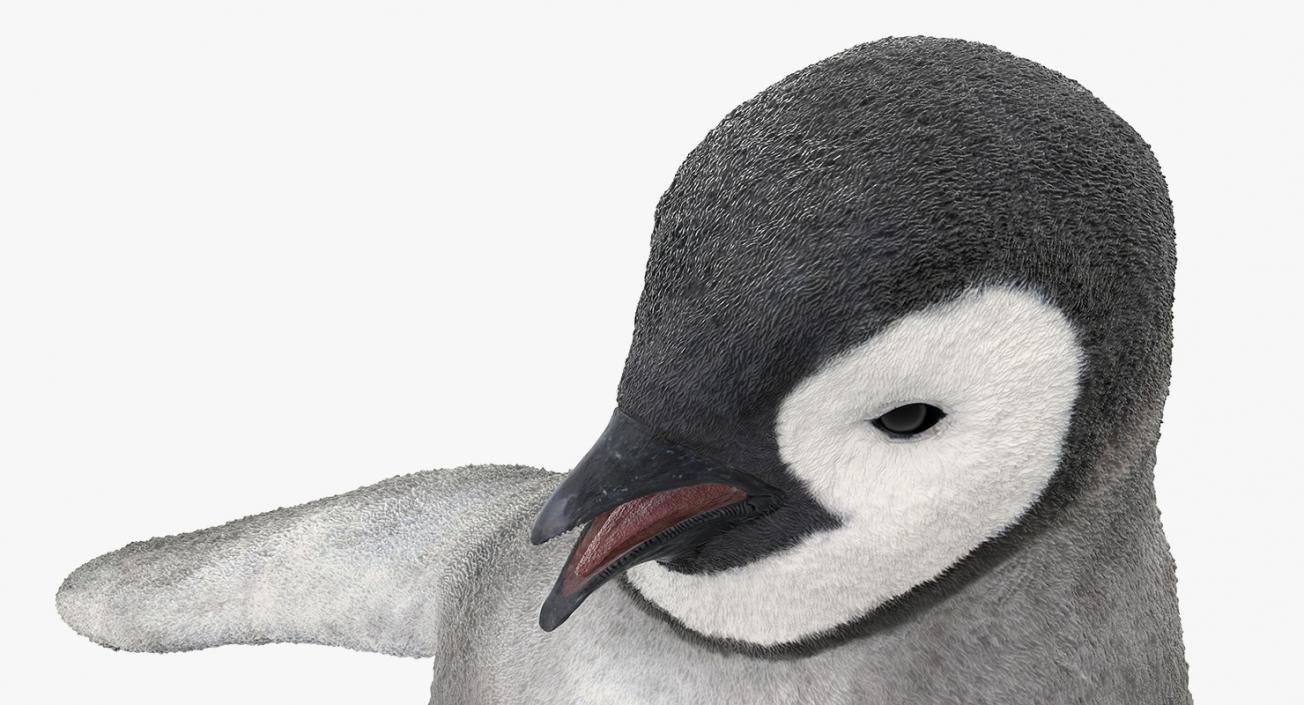 Baby Emperor Penguin T-Pose 3D