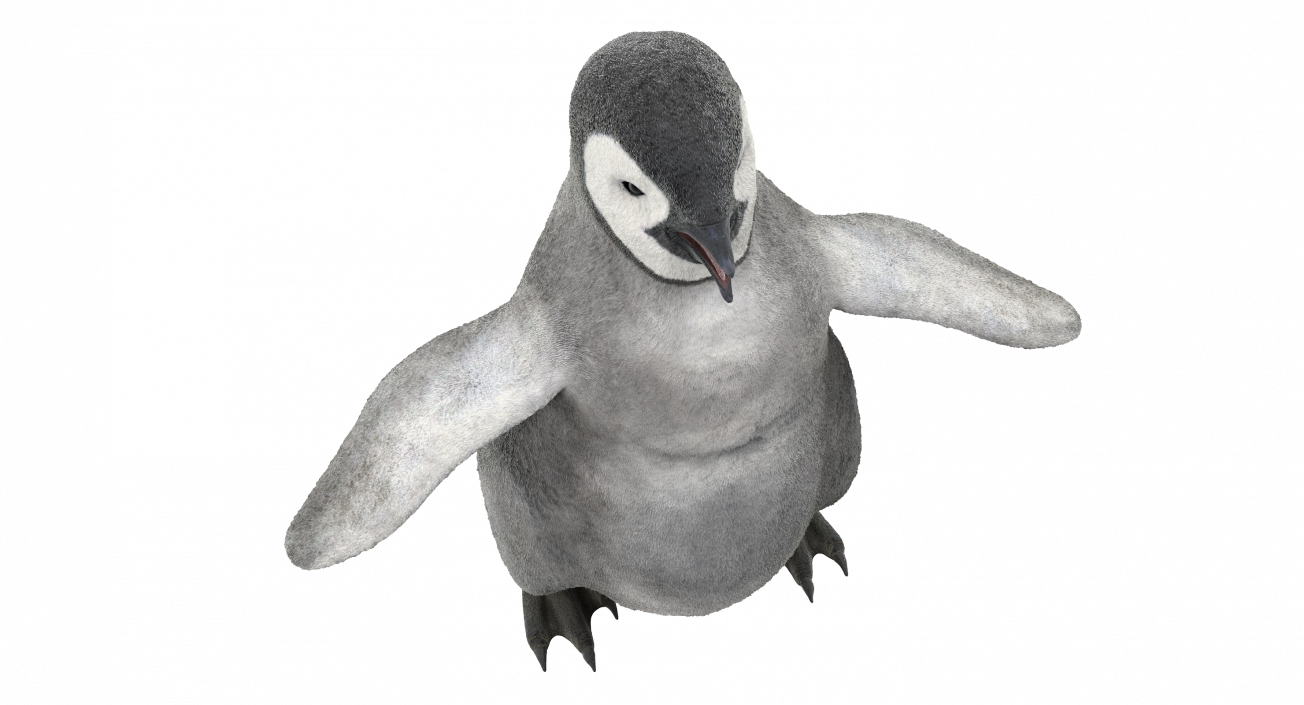 Baby Emperor Penguin T-Pose 3D