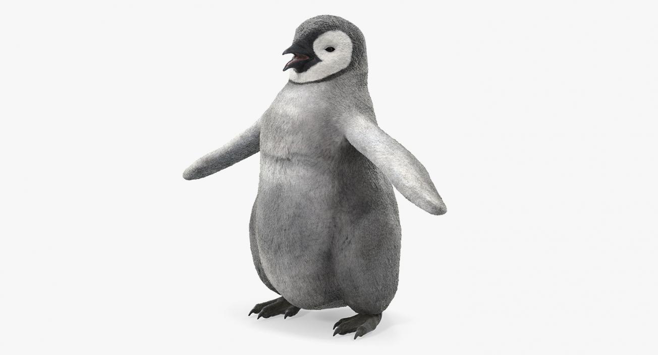 Baby Emperor Penguin T-Pose 3D