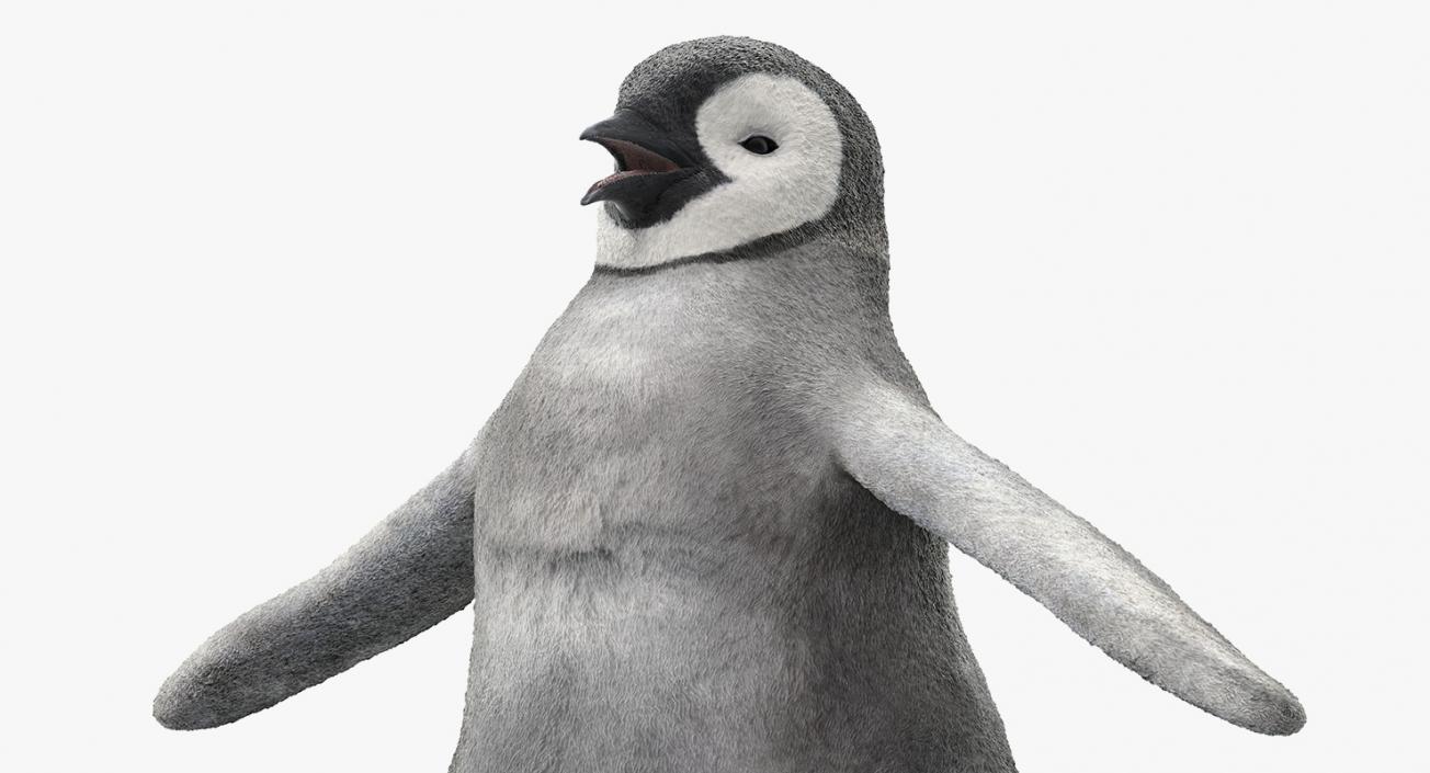 Baby Emperor Penguin T-Pose 3D