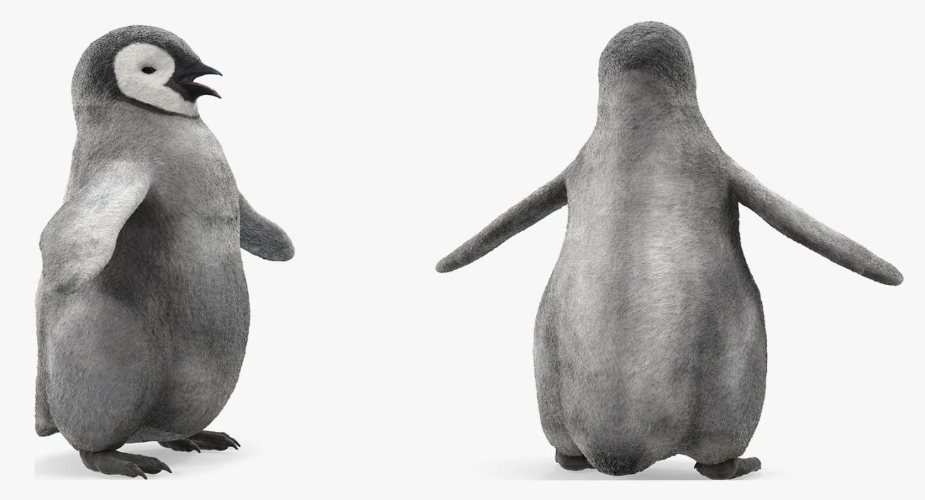 Baby Emperor Penguin T-Pose 3D