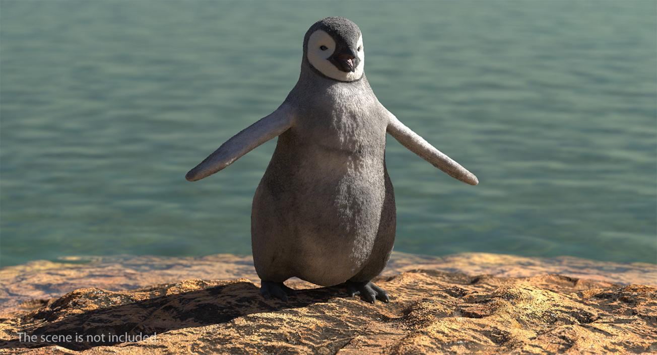 Baby Emperor Penguin T-Pose 3D