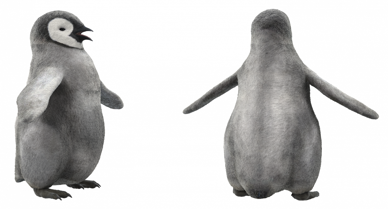 Baby Emperor Penguin T-Pose 3D