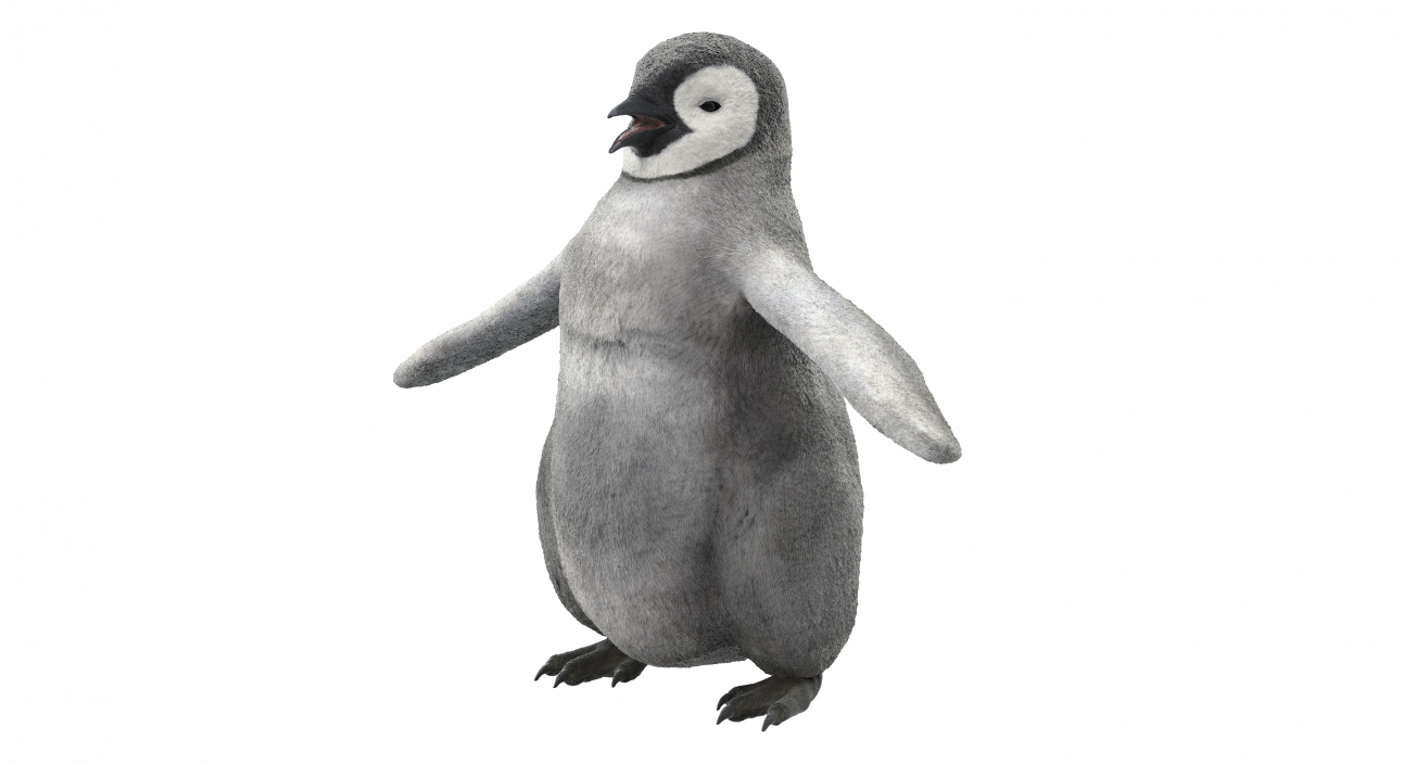 Baby Emperor Penguin T-Pose 3D