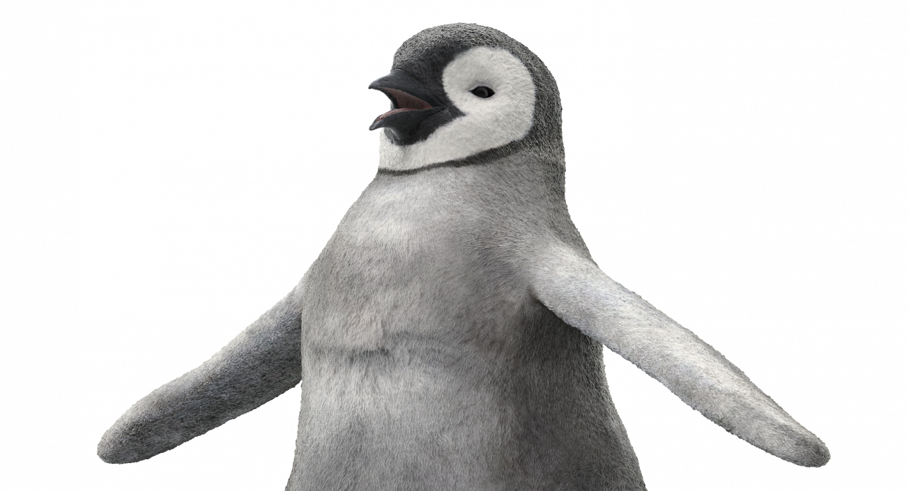 Baby Emperor Penguin T-Pose 3D