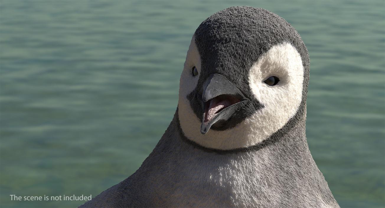 Baby Emperor Penguin T-Pose 3D