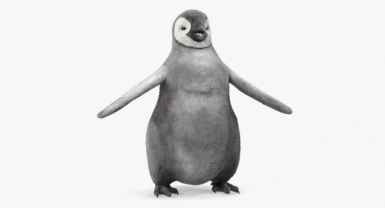 Baby Emperor Penguin T-Pose 3D