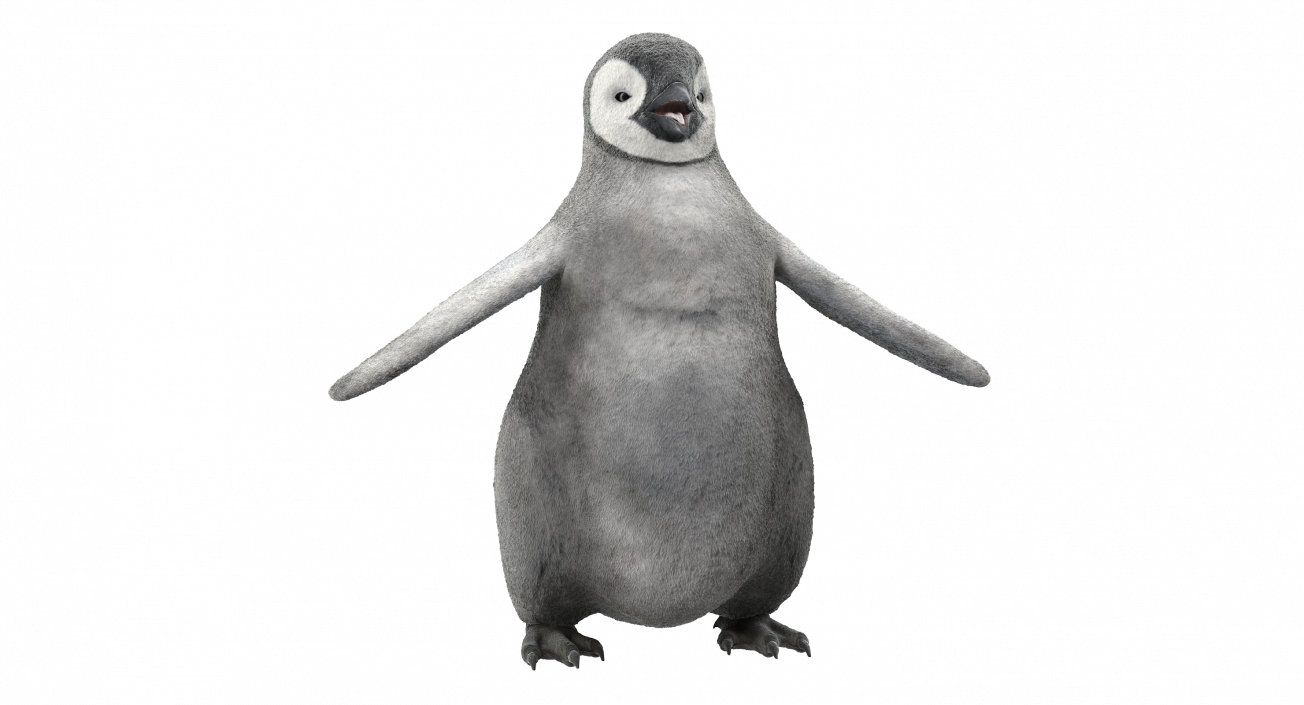 Baby Emperor Penguin T-Pose 3D