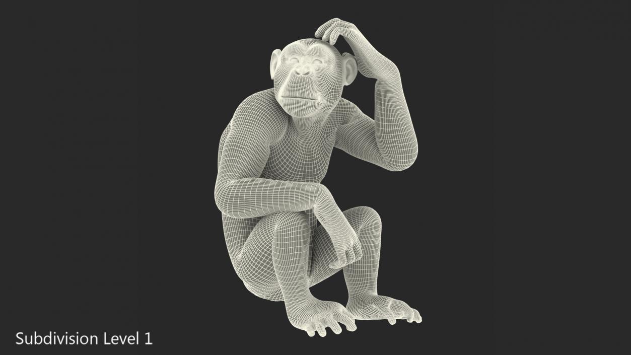 3D Light Chimpanzee Sitting Pose Fur model