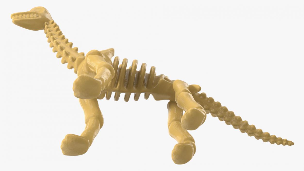 3D Diplodocus Skeleton Toy model