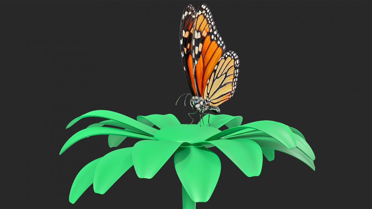 Animated Monarch Butterfly Collection 3D