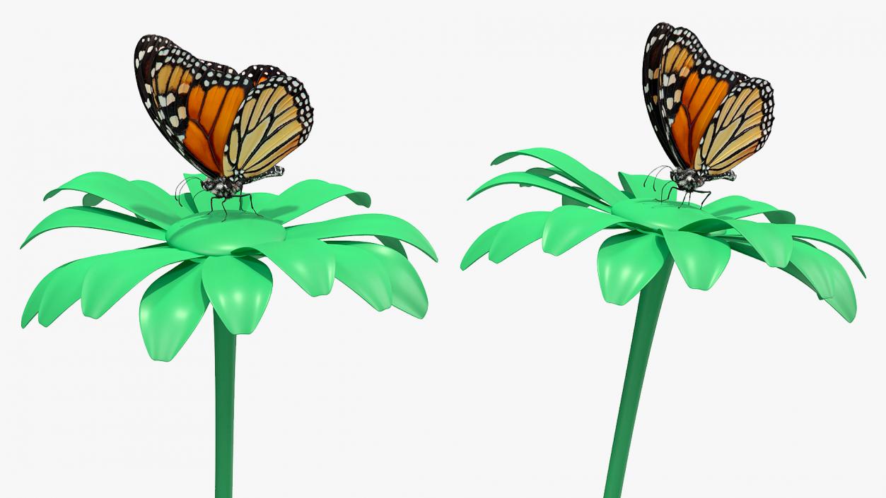 Animated Monarch Butterfly Collection 3D