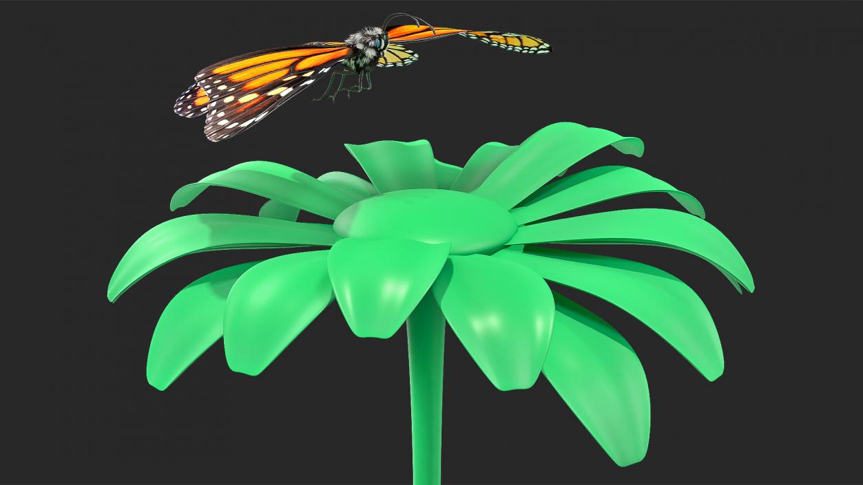 Animated Monarch Butterfly Collection 3D