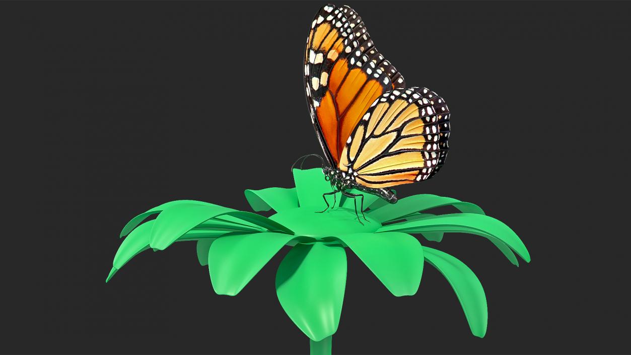 Animated Monarch Butterfly Collection 3D