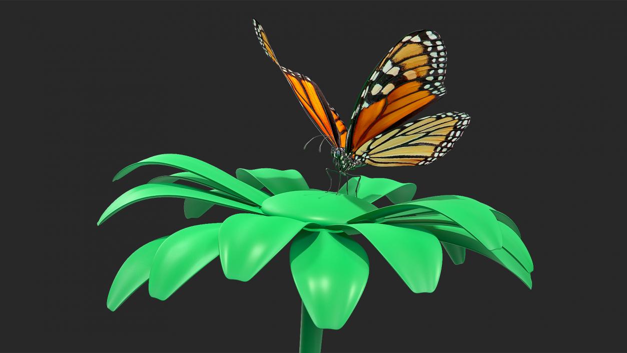 Animated Monarch Butterfly Collection 3D