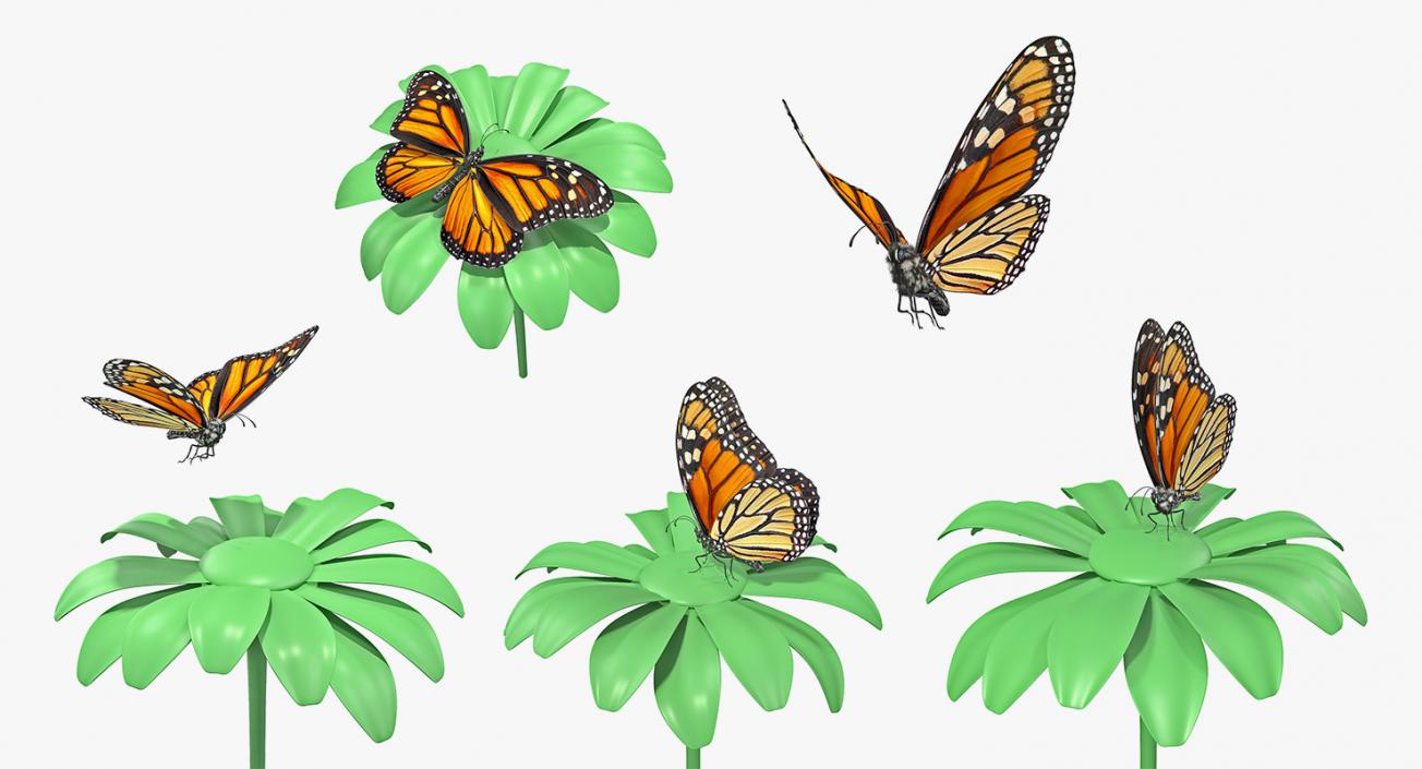 Animated Monarch Butterfly Collection 3D