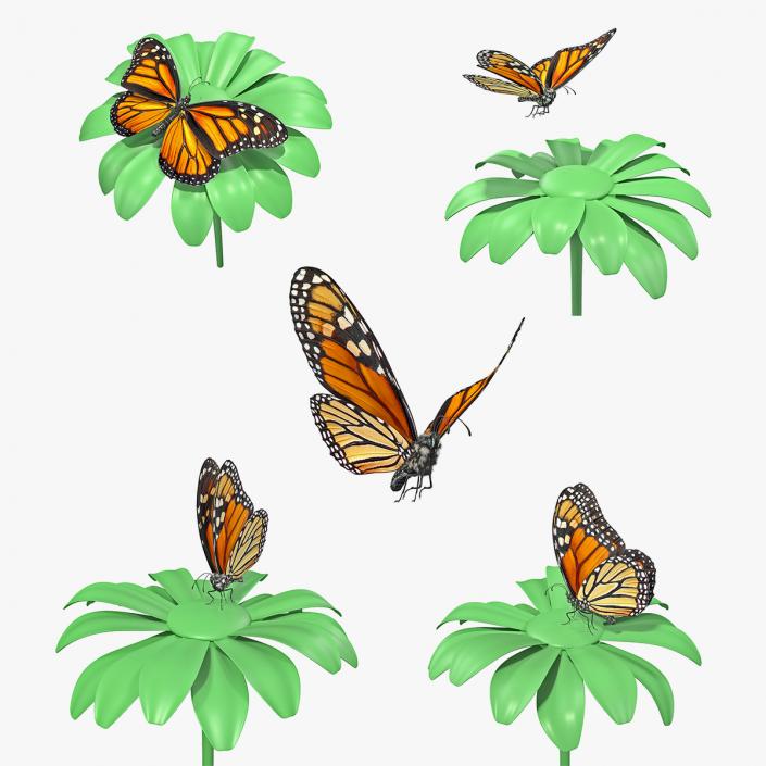 Animated Monarch Butterfly Collection 3D