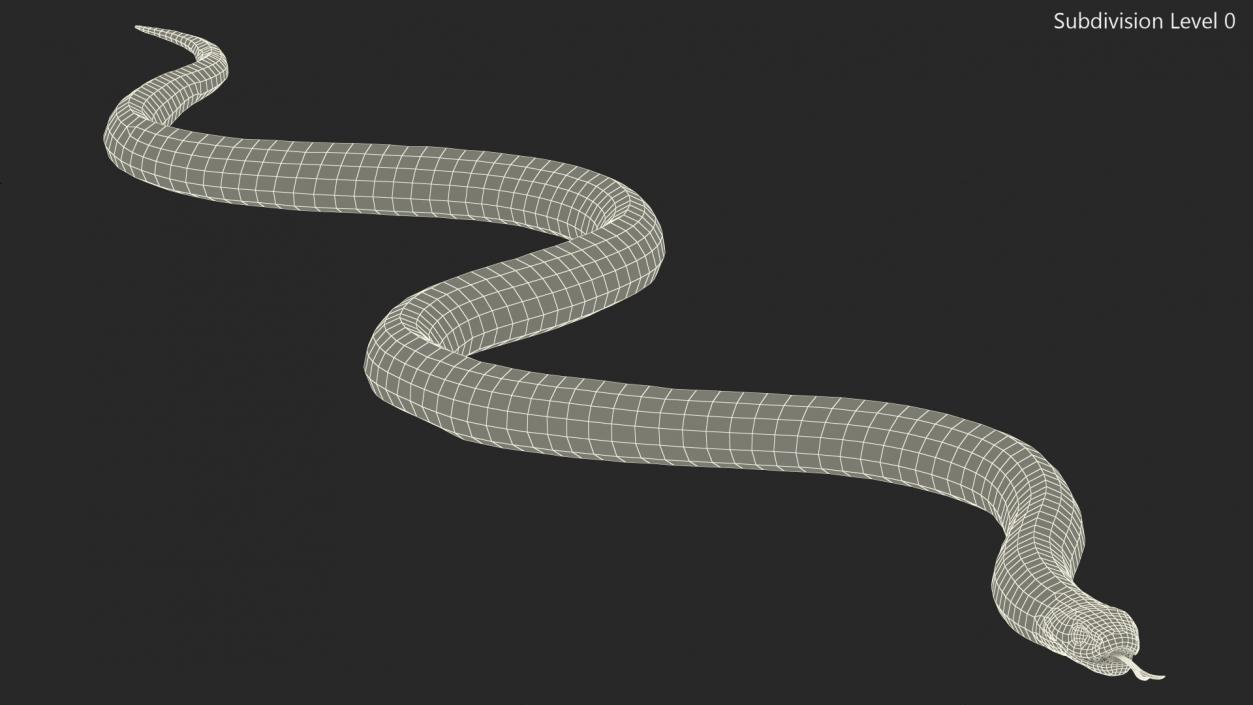 3D model California Kingsnake