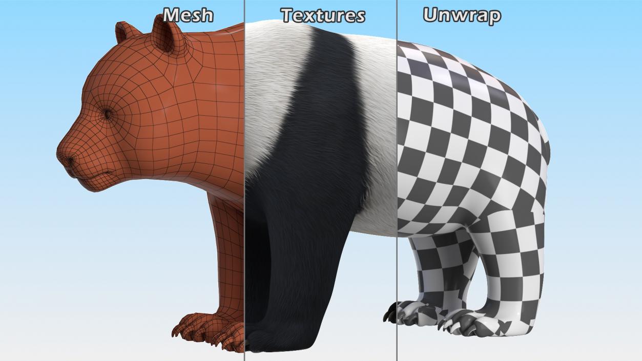 Giant Panda Fur Rigged 3D