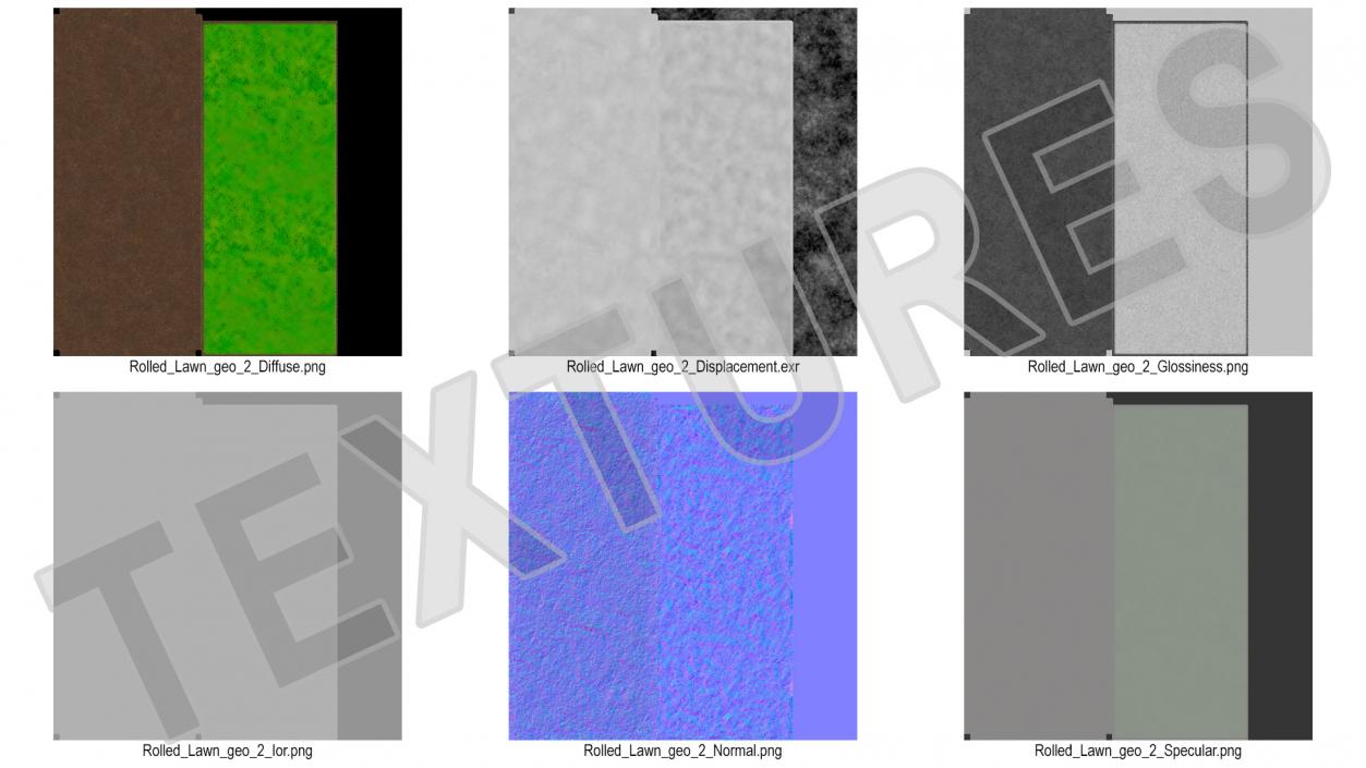 3D Lawn Turf Roll Unfolded model