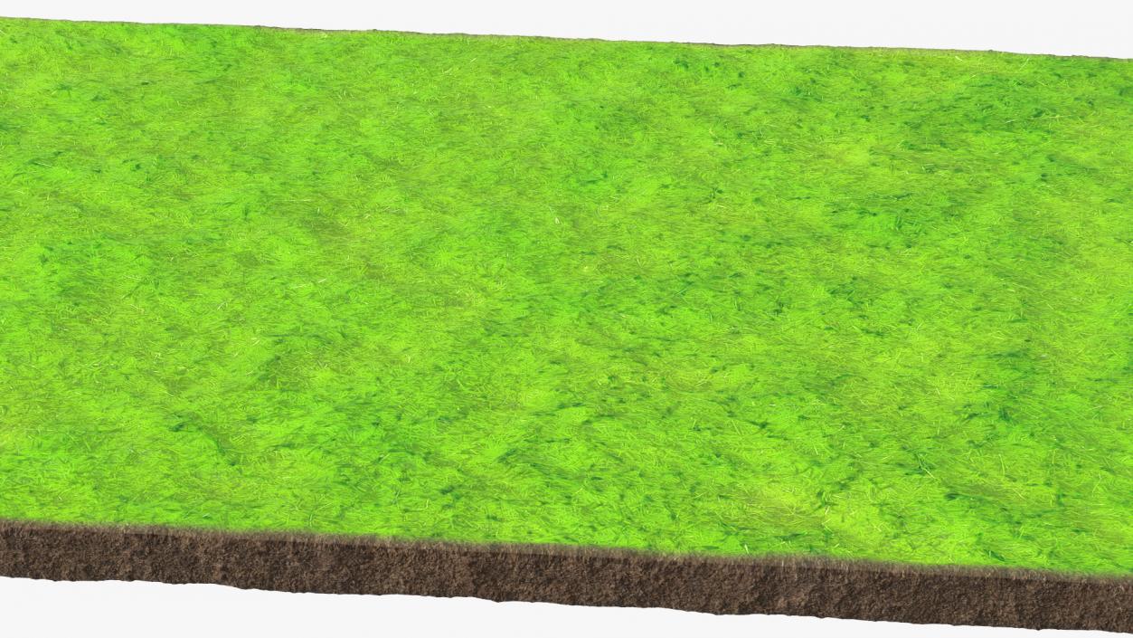 3D Lawn Turf Roll Unfolded model