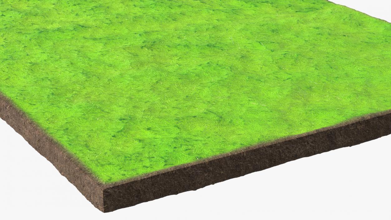 3D Lawn Turf Roll Unfolded model