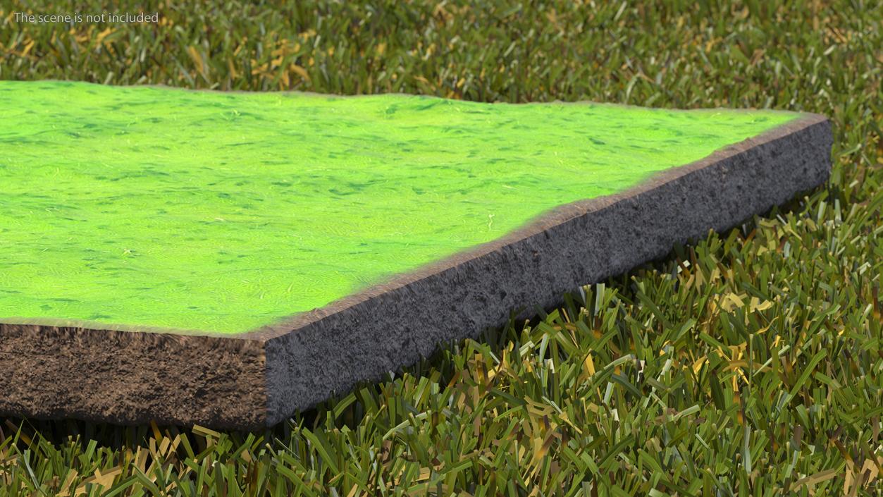 3D Lawn Turf Roll Unfolded model