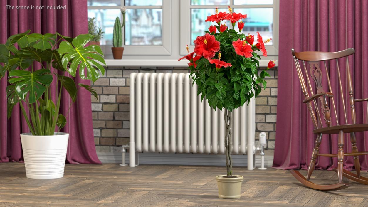 3D Braided Hibiscus Plant Red