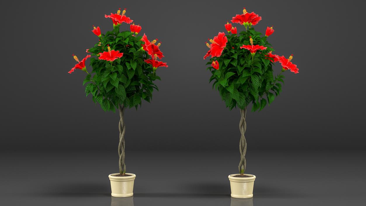 3D Braided Hibiscus Plant Red