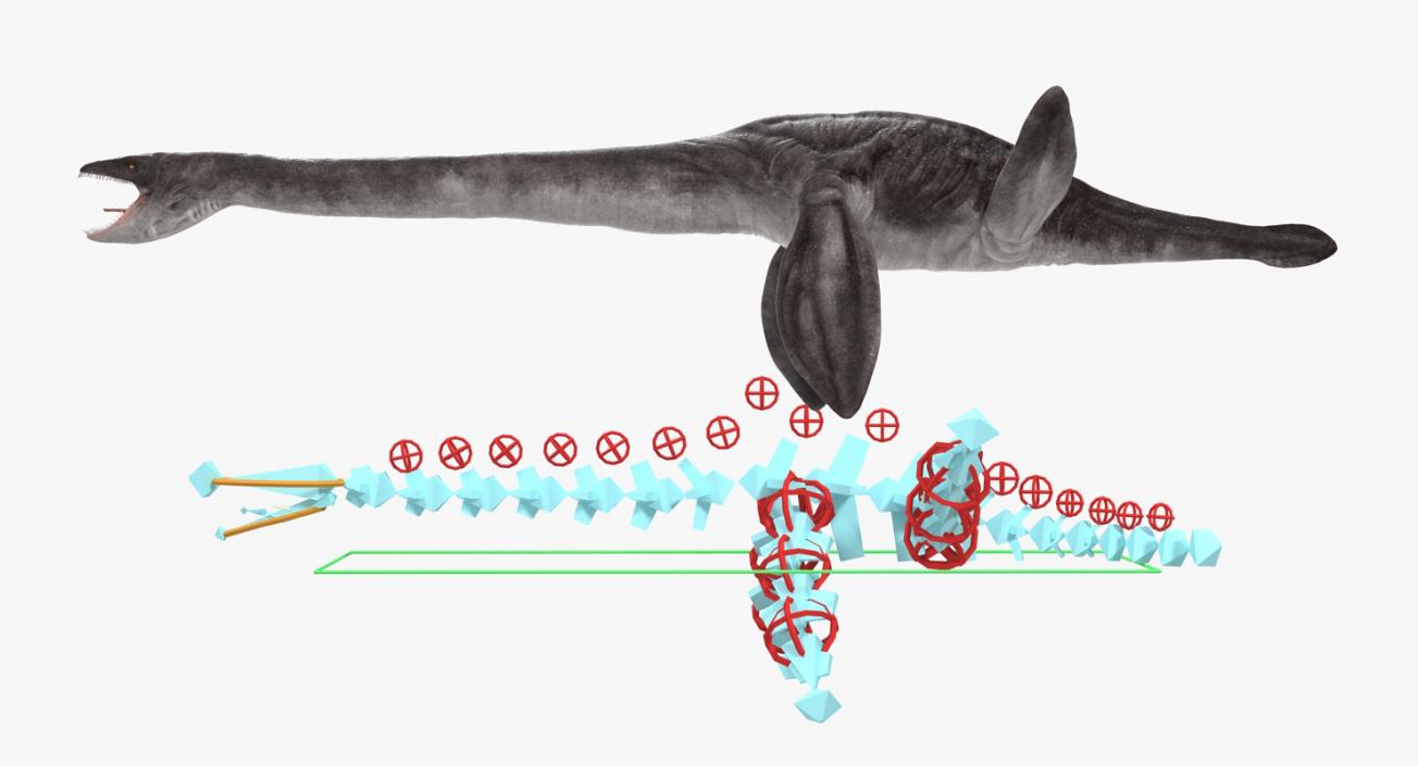 3D Plesiosauria Marine Reptile Dinosaur Rigged model