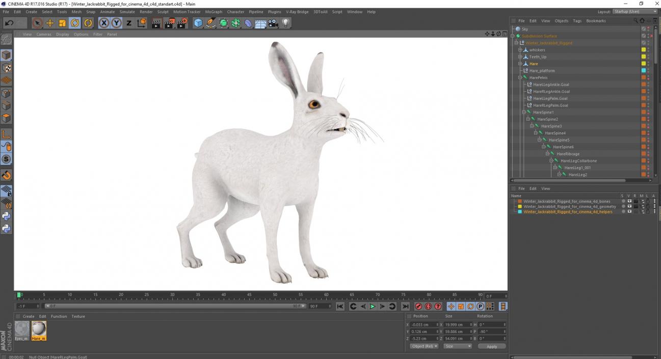 3D Winter Jackrabbit Rigged for Cinema 4D model