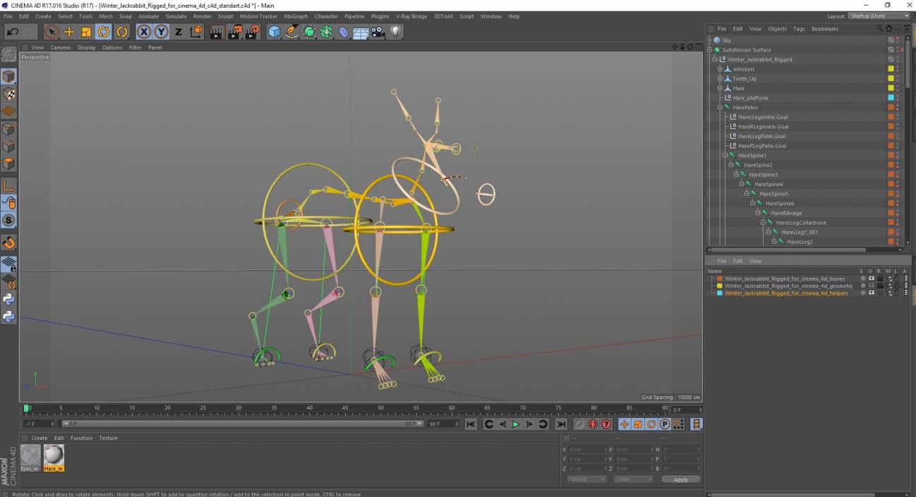 3D Winter Jackrabbit Rigged for Cinema 4D model