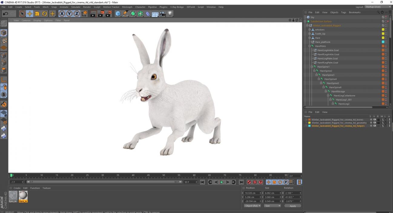 3D Winter Jackrabbit Rigged for Cinema 4D model