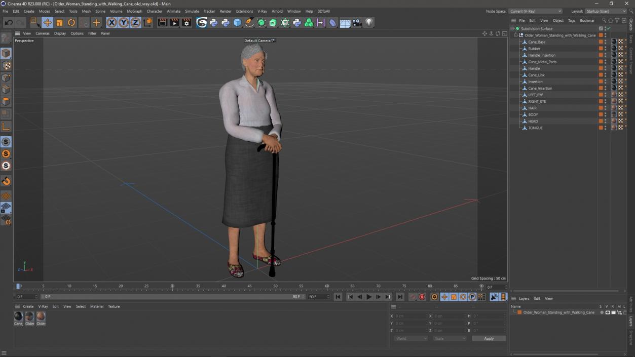 3D Older Woman Standing with Walking Cane model