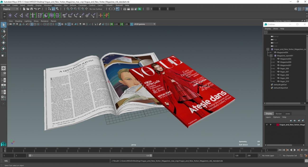 3D model Vogue and New Yorker Magazines