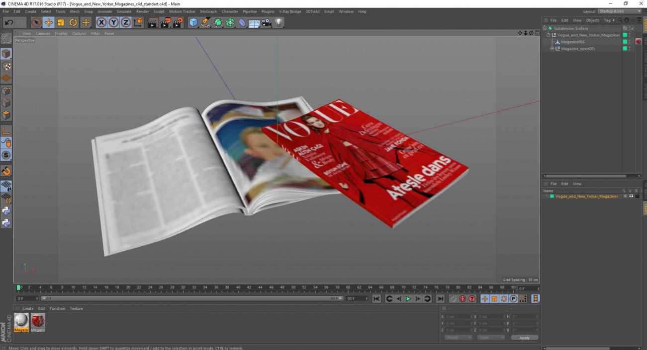 3D model Vogue and New Yorker Magazines