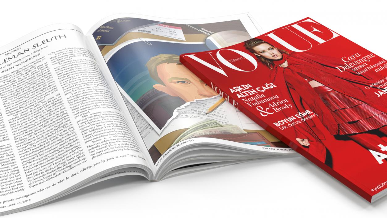 3D model Vogue and New Yorker Magazines