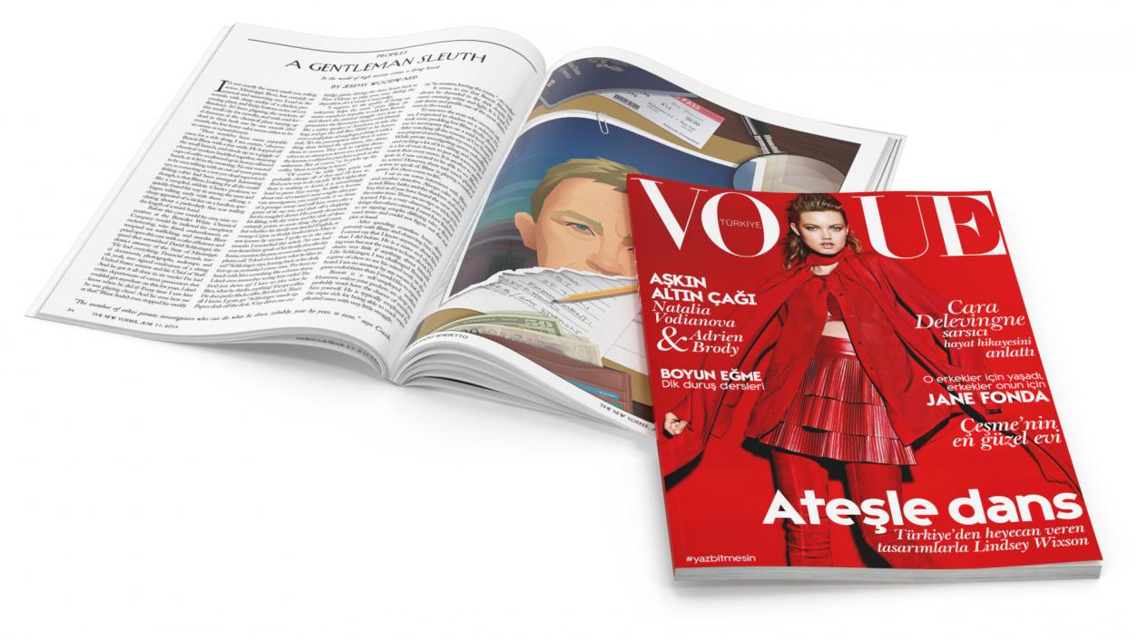 3D model Vogue and New Yorker Magazines