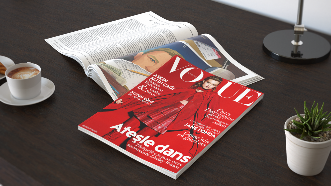 3D model Vogue and New Yorker Magazines