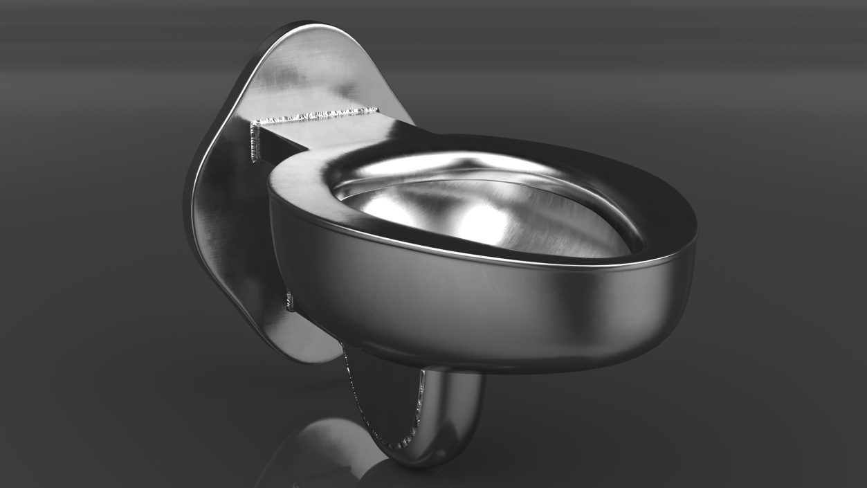 Stainless Steel Toilet Wall Mounted New 3D model