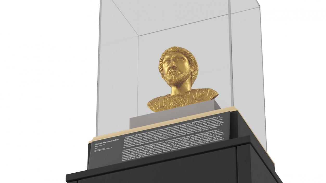 3D Golden Bust of Marcus Aurelius in Museum Stand