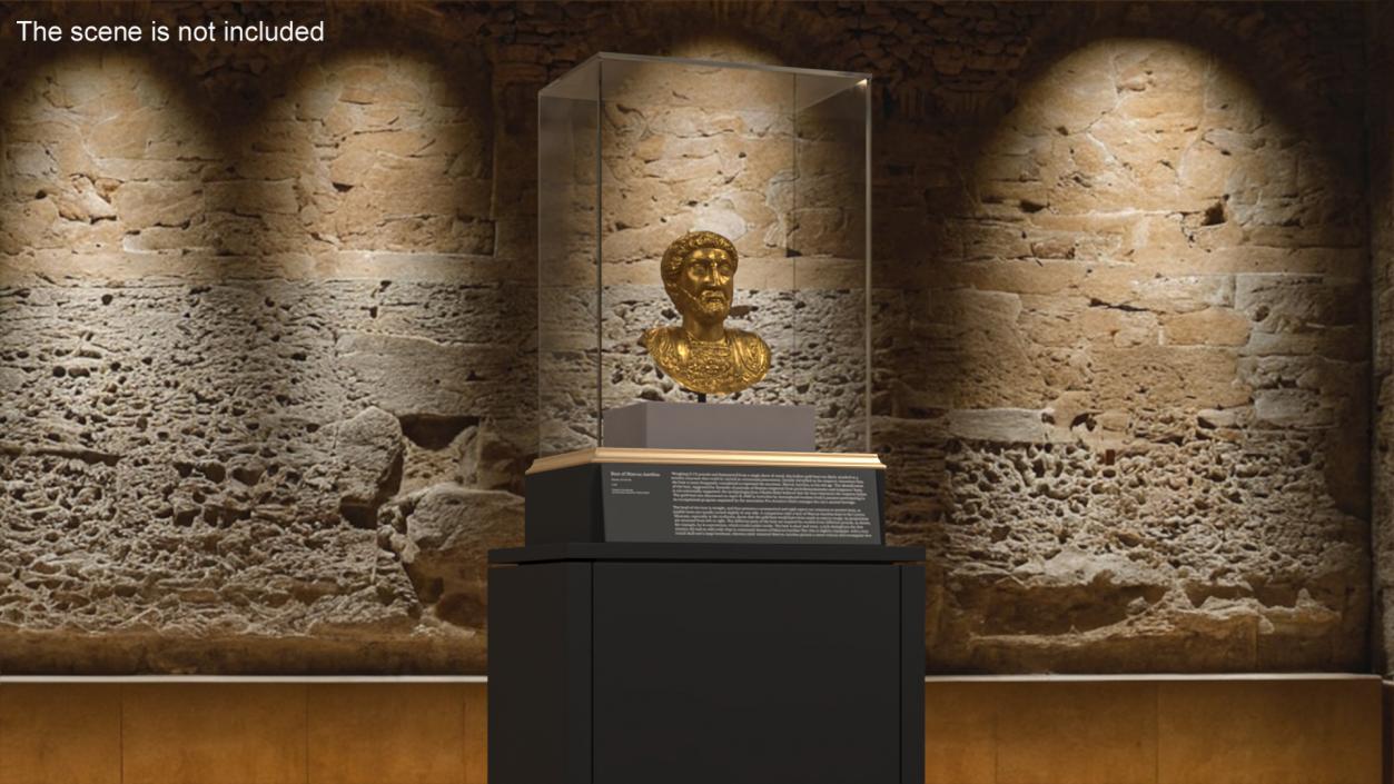 3D Golden Bust of Marcus Aurelius in Museum Stand