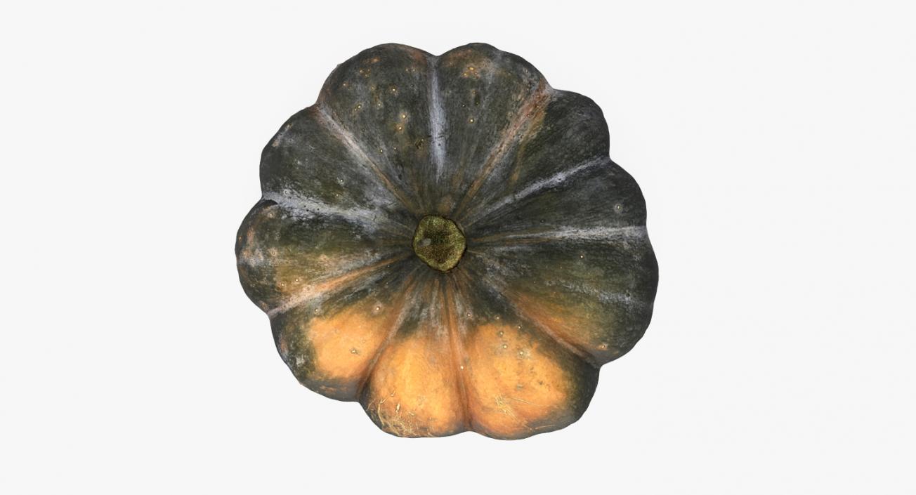 3D Green Pumpkin model