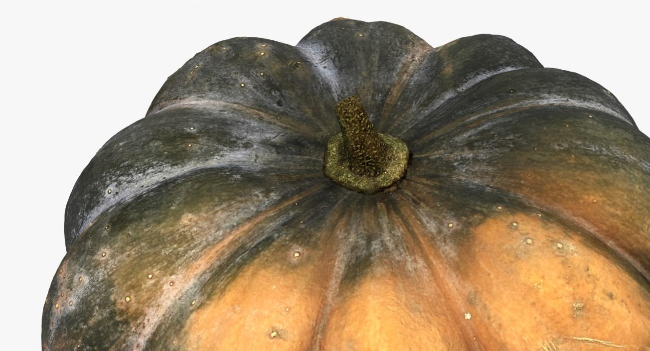 3D Green Pumpkin model