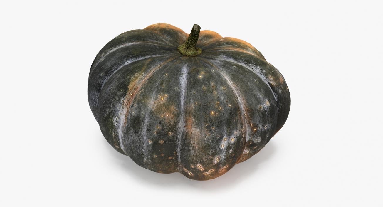 3D Green Pumpkin model