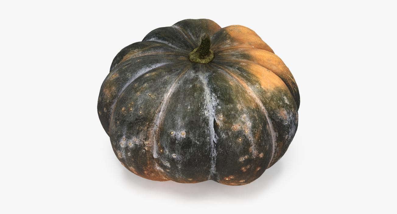 3D Green Pumpkin model